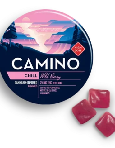 Camino Wild Berry High Dose Chill Gummies